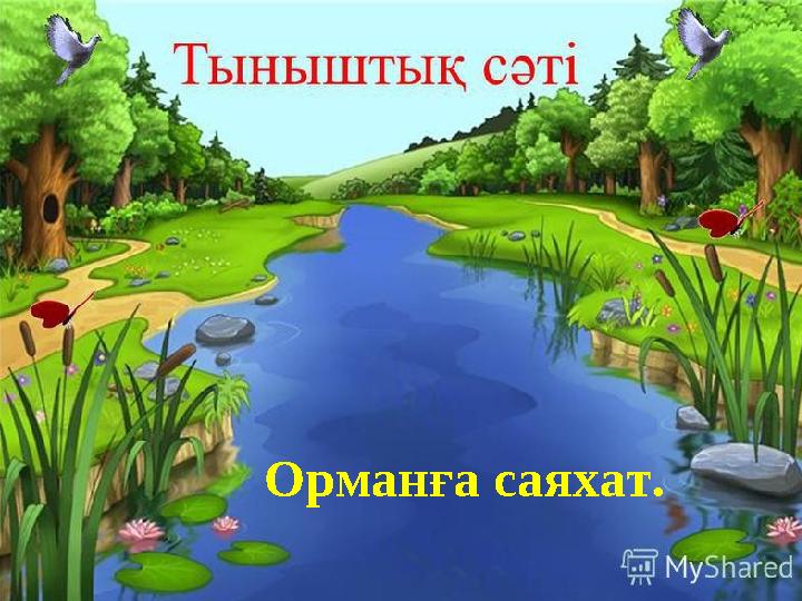 Орманға саяхат.