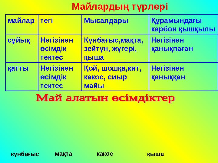 Орыс студенттері тікелей порно