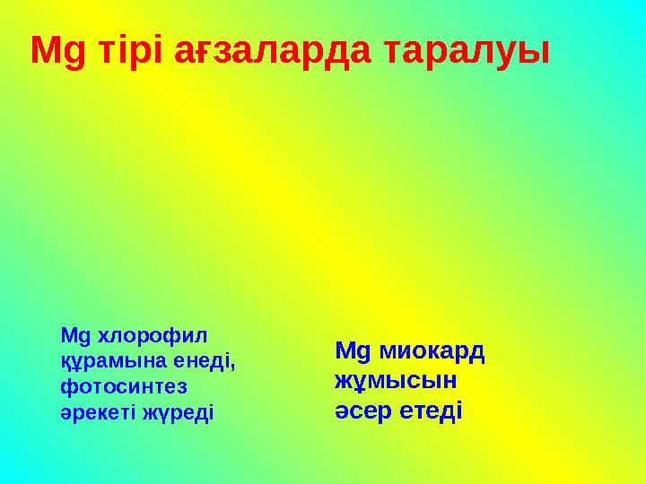 Мg хлорофил құрамына енеді, фотосинтез әрекеті жүреді Мg миокард жұмысын әсер етеді Мg тірі ағзаларда таралуы