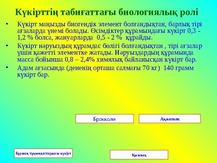 Күкірттің табиғаттағы биологиялық ролі •Күкірт маңызды биогендік элемент болғандықтан, барлық тірі ағзаларда үнемі болады. Өсі