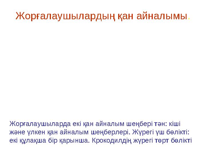 Жорғалаушылардың қан айналымы. Жорғалаушыларда екі қан айналым шеңбері тән: кіші және үлкен қан айналым шеңберлері. Жүрегі үш б