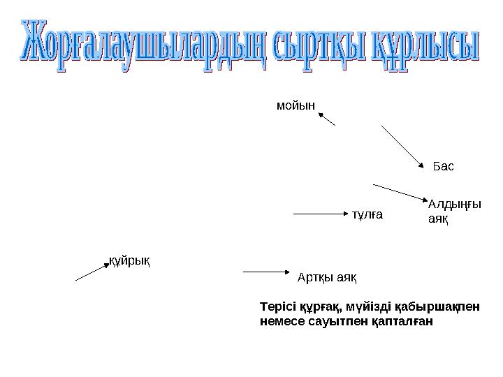 Бас мойын тұлға Алдыңғы аяқ Артқы аяқ құйрық Терісі құрғақ, мүйізді қабыршақпен немесе сауытпен қапталған
