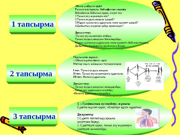 1 тапсырма «Миға шабуыл» әдісі Тыныс алу туралы бейнефильм көрсету Бейнефильм бойынша сұрақ- жауап алу. 1.Тыныс алу мүшелерін а