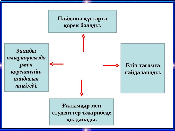 Зиянды омыртқасызда рмен қоректеніп, пайдасын тигізеді. Пайдалы құстарға қорек болады. Етін тағамға пайдаланады. Ғалымдар м Зиянды омыртқасызда рмен қоректеніп, пайдасын тигізеді. Пайдалы құстарға қорек болады. Етін тағамға пайдаланады. Ғалымдар м