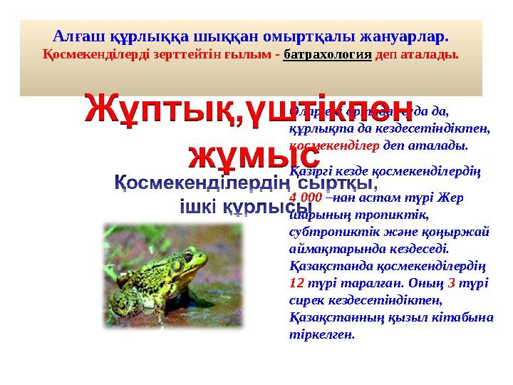 Алғаш құрлыққа шыққан омыртқалы жануарлар. Қосмекенділерді зерттейтін ғылым - батрахология деп аталады. Олар екі ортада: суда да Алғаш құрлыққа шыққан омыртқалы жануарлар. Қосмекенділерді зерттейтін ғылым - батрахология деп аталады. Олар екі ортада: суда да