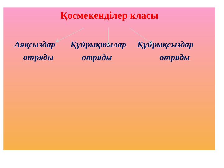 Қосмекенділер класы Аяқсыздар Құйрықтылар Құйрықсыздар отряды отряды отряды Қосмекенділер класы Аяқсыздар Құйрықтылар Құйрықсыздар отряды отряды отряды