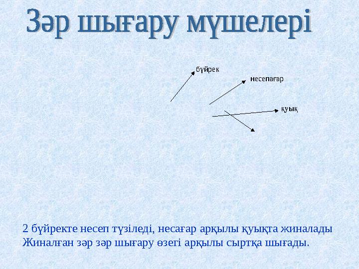 Автобустағы порно Әйелдердің аяқтарын қисайту фотосы