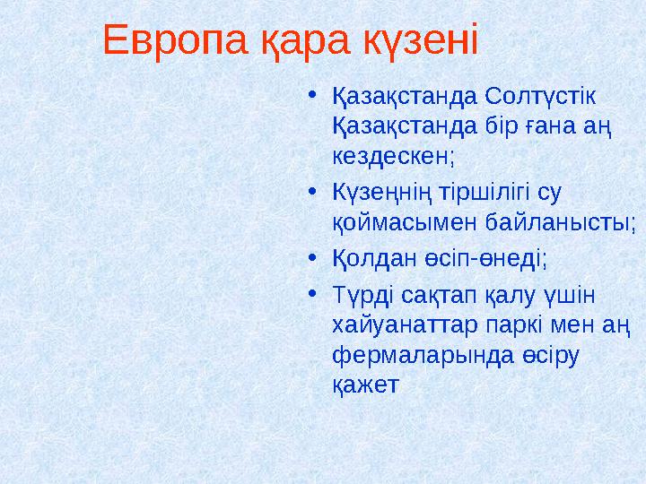 Европа қара күзені •Қазақстанда Солтүстік Қазақстанда бір ғана аң кездескен; •Күзеңнің тіршілігі су қоймасымен байланысты; •Қ