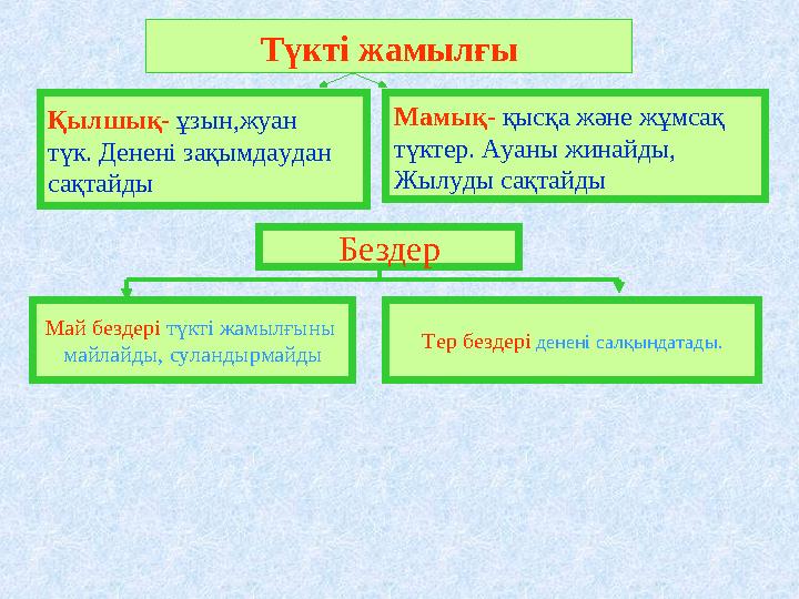 Бадамша бездеріндегі порнография, мұрыннан алынған сперматозоидтар Порно ұсталды мастурбация және трахается