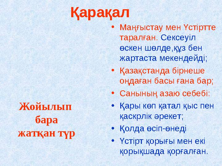 Қарақал •Маңғыстау мен Үстіртте таралған. Сексеуіл өскен шөлде,құз бен жартаста мекендейді; •Қазақстанда бірнеше оңдаған бас
