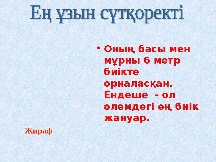 •Оның басы мен мұрны 6 метр биікте орналасқан. Ендеше - ол әлемдегі ең биік жануар. Жираф