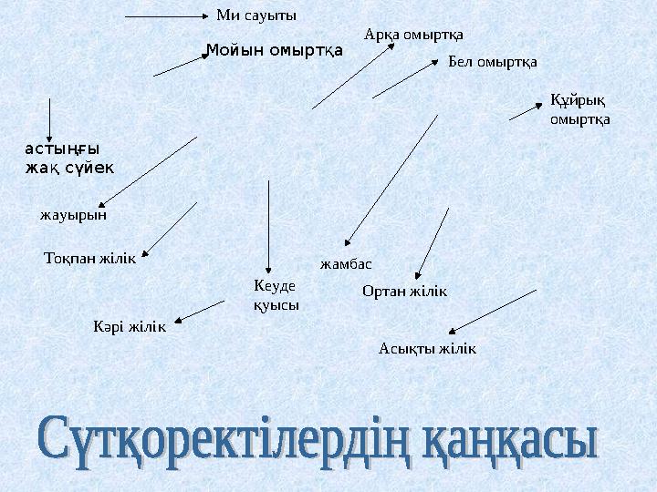Өте түкті кәрі Өте түкті кәрі