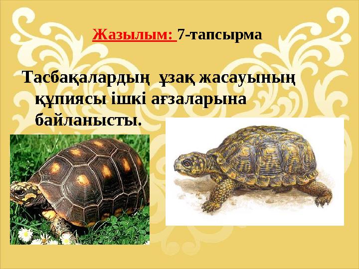 Жазылым: 7-тапсырма Тасбақалардың ұзақ жасауының құпиясы ішкі ағзаларына байланысты.