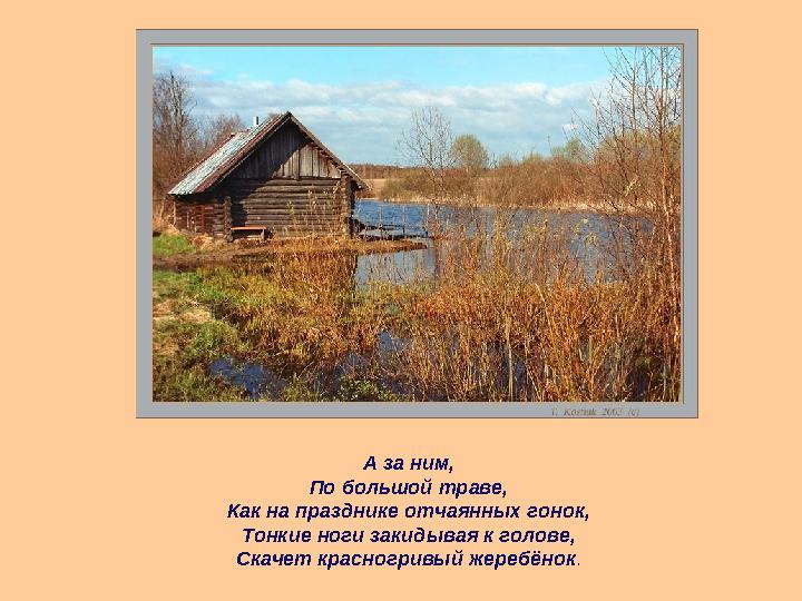 А за ним, По большой траве, Как на празднике отчаянных гонок, Тонкие ноги закидывая к голове, Скачет красногривый жеребёнок .