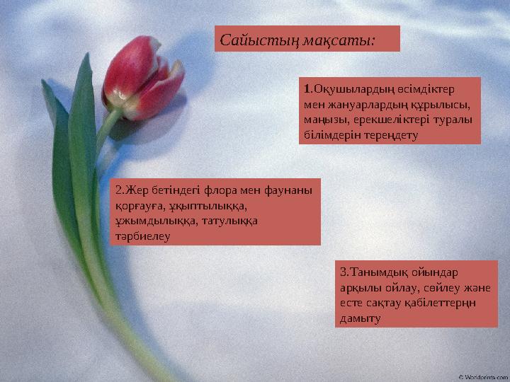 Сайыстың мақсаты: 1.Оқушылардың өсімдіктер мен жануарлардың құрылысы, маңызы, ерекшеліктері туралы білімдерін тереңдету 2.Же