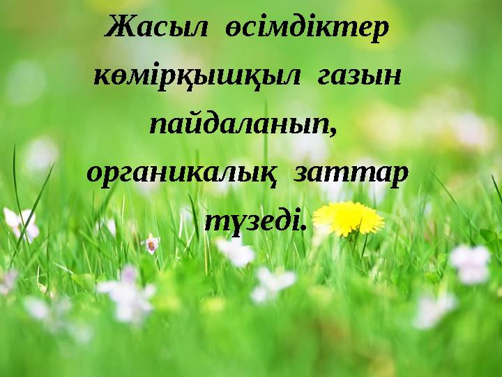 Жасыл өсімдіктер көмірқышқыл газын пайдаланып, органикалық заттар түзеді.