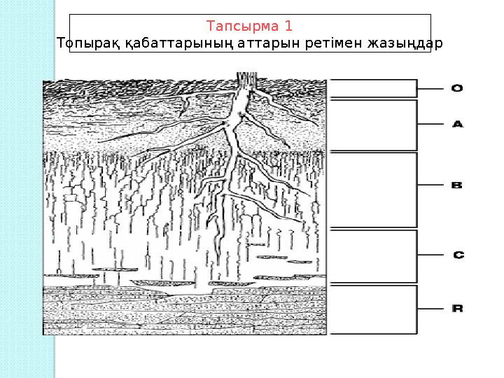 Тапсырма 1 Топырақ қабаттарының аттарын ретімен жазыңдар