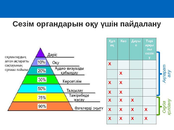 Құл ақ КөзДауы с Тері арқы лы сезін у X X X X X X X X X X X X X X X X X А қ п а р а т а л у О қ у д а қ о л д а н у Сезім