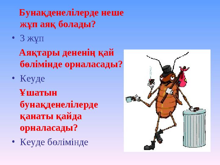 Бунақденелілерде неше жұп аяқ болады? •3 жұп Аяқтары дененің қай бөлімінде орналасады? •Кеуде Ұшатын бунақденелілерде