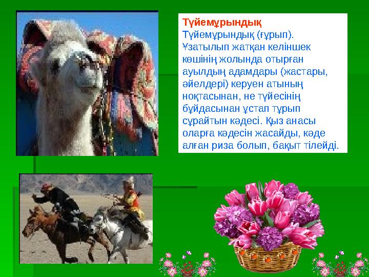 Түйемұрындық Түйемұрындық (ғұрып). Ұзатылып жатқан келіншек көшінің жолында отырған ауылдың адамдары (жастары, әйелд