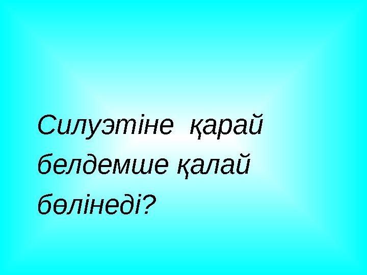 Силуэтіне қарай белдемше қалай бөлінеді?