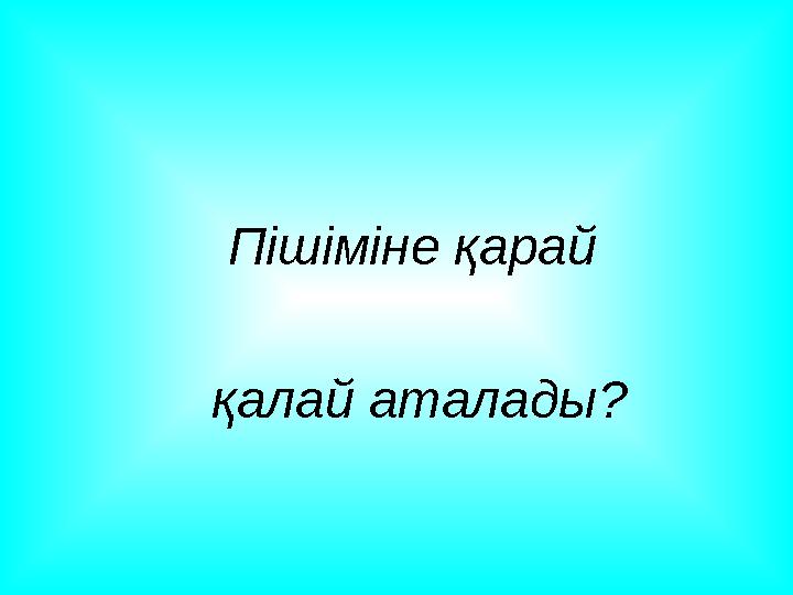 Пішіміне қарай қалай аталады?