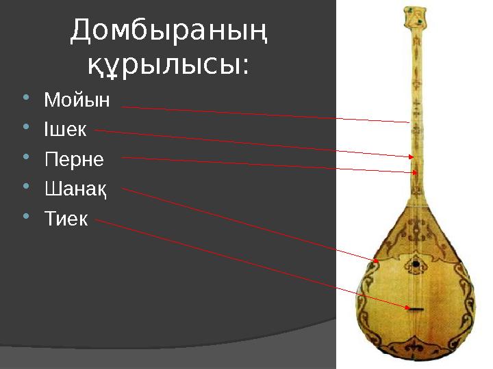 Домбыраның құрылысы: Мойын Ішек Перне Шанақ Тиек