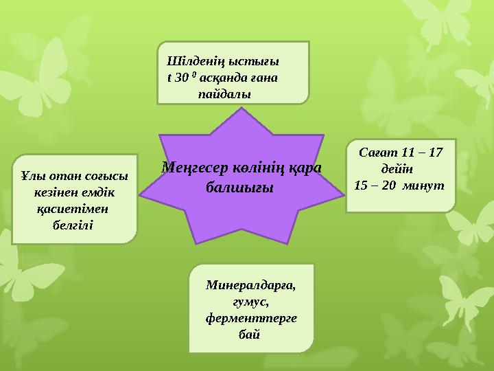 Меңгесер көлінің қара балшығы Ұлы отан соғысы кезінен емдік қасиетімен белгілі Шілденің ыстығы t 30 0 асқанда ғана п