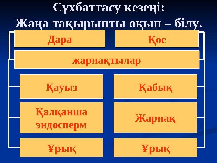 ҚауызҚауыз ҚабықҚабық Қалқанша эндосперм Қалқанша эндосперм ЖарнақЖарнақ ҰрықҰрықҰрықҰрық жарнақтыларжарнақтылар ДараДара ҚосҚос