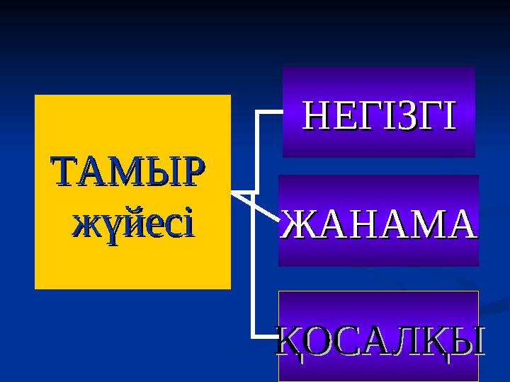 ТАМЫР ТАМЫР жүйесіжүйесі НЕГІЗГІНЕГІЗГІ ЖАНАМАЖАНАМА ҚОСАЛҚЫҚОСАЛҚЫ