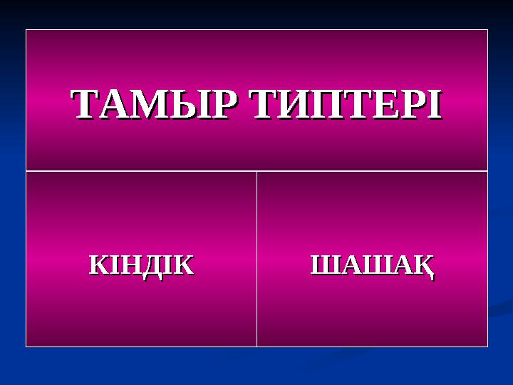 ТАМЫР ТИПТЕРІТАМЫР ТИПТЕРІ КІНДІККІНДІК ШАШАҚШАШАҚ