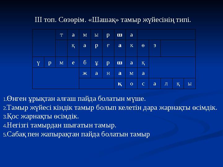 ІІІ топ. Сөзөрім. «Шашақ» тамыр жүйесінің типі. тамырша қарғакөз үрмебұршақ жанама қосалқы 1.Өнген ұрықтан алғаш пайда