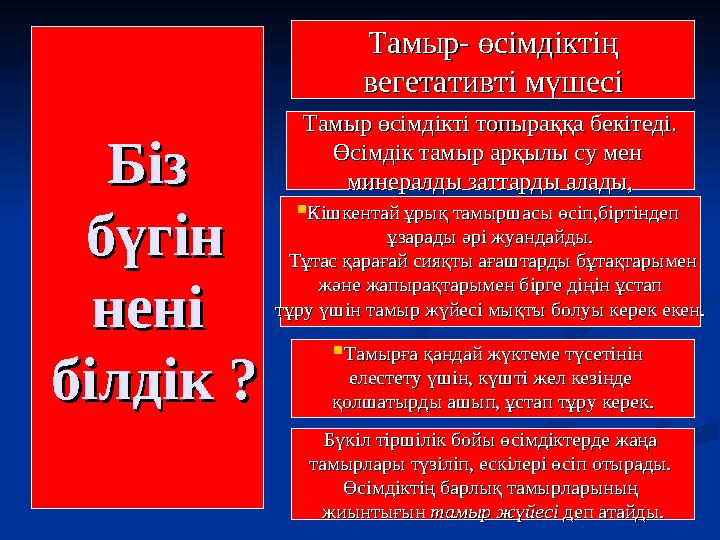 БізБіз бүгін бүгін нені нені білдік ?білдік ? Тамыр- өсімдіктіңТамыр- өсімдіктің вегетативті мүшесівегетативті мүшесі 