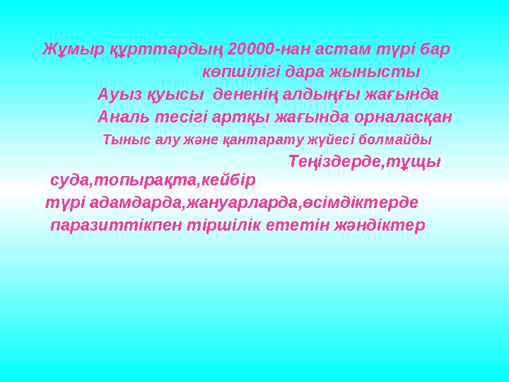 Жұмыр құрттардың 20000-нан астам түрі бар көпшілігі дара жынысты Ауыз қуы