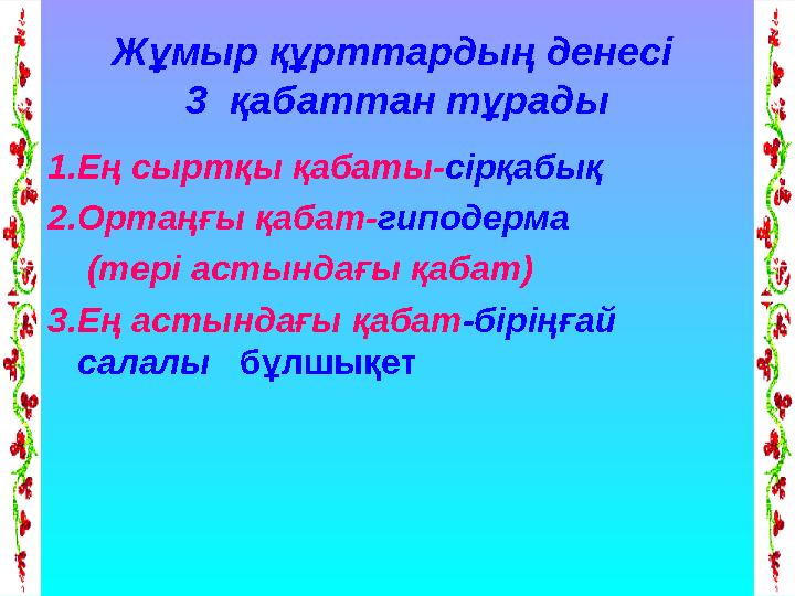 Жұмыр құрттардың денесі 3 қабаттан тұрады 1.Ең сыртқы қабаты- сірқабық 2.Ортаңғы қабат- гиподерма (тері астындағы қабат)