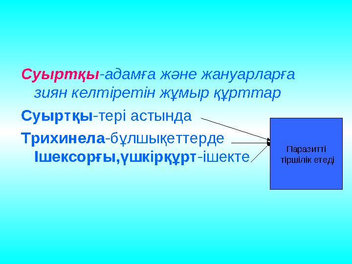 Суыртқы -адамға және жануарларға зиян келтіретін жұмыр құрттар Суыртқы -тері астында Трихинела -бұлшықеттерде Ішексорғы,үш