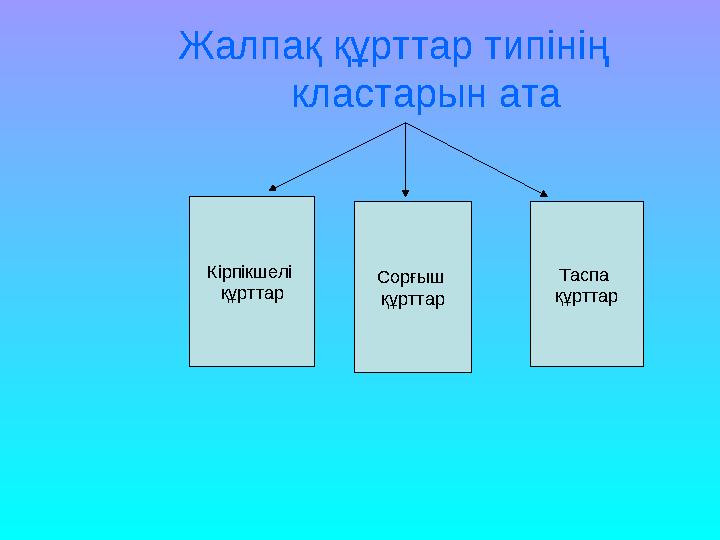 Жалпақ құрттар типінің кластарын ата Кірпікшелі құрттар Сорғыш құрттар Таспа құрттар