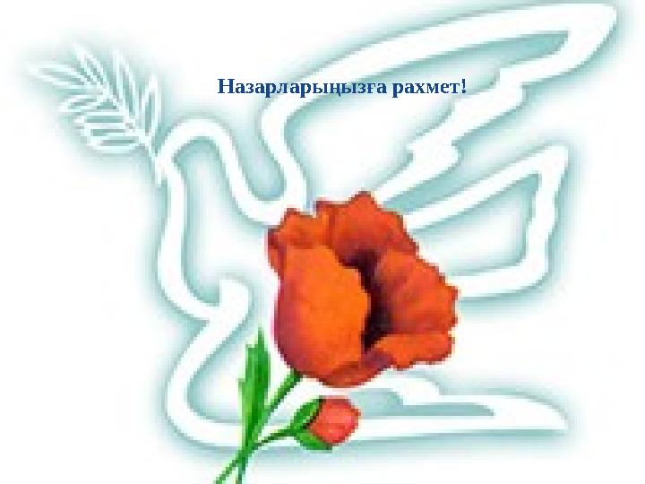 14 Назарларыңызға рахмет!