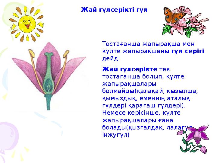 Жай гүлсерікті гүл Тостағанша жапырақша мен күлте жапырақшаны гүл серігі дейді Жай гүлсерікте тек тостағанша болып, күлте