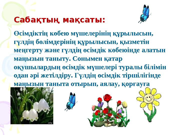 Ана мен бала секс Порно диджей Бензина