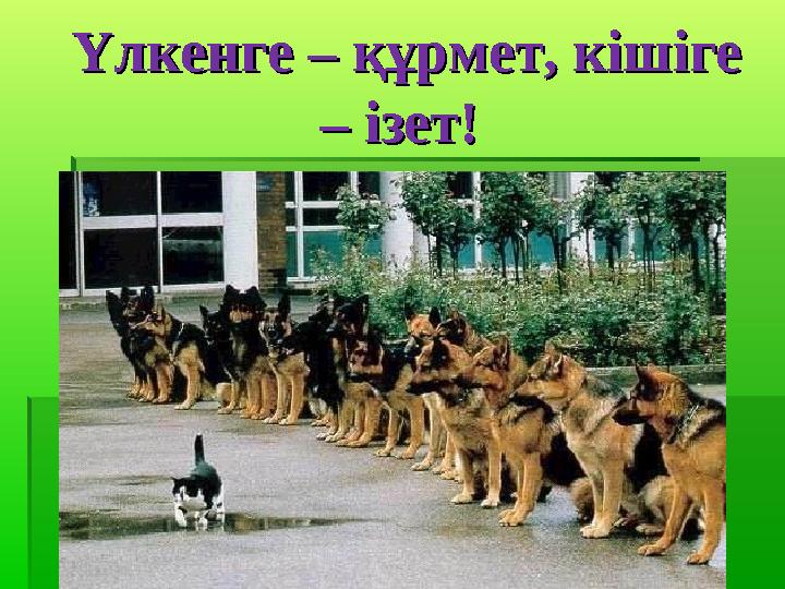 Үлкенге – құрмет, кішіге Үлкенге – құрмет, кішіге – ізет!– ізет!