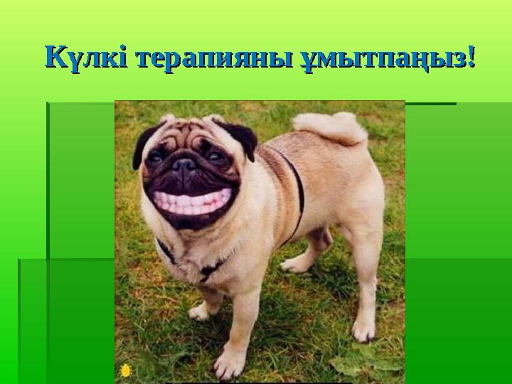 Күлкі терапияны ұмытпаңыз!Күлкі терапияны ұмытпаңыз!