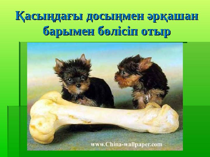 Қасыңдағы досыңмен әрқашан Қасыңдағы досыңмен әрқашан барымен бөлісіп отырбарымен бөлісіп отыр