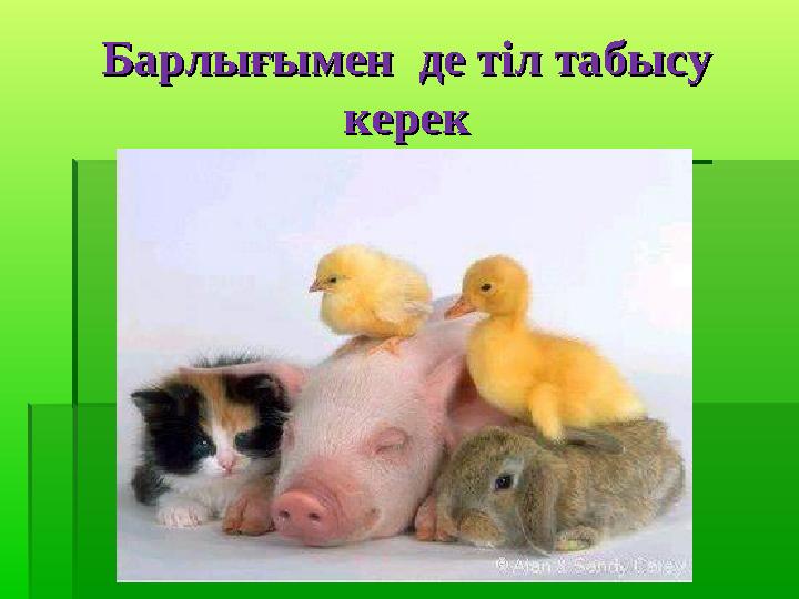Барлығымен де тіл табысу Барлығымен де тіл табысу кереккерек