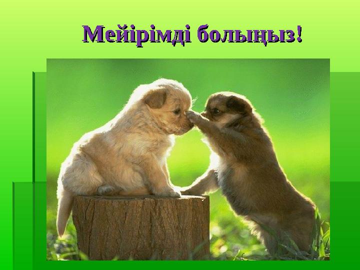 Мейірімді болыңыз! Мейірімді болыңыз!