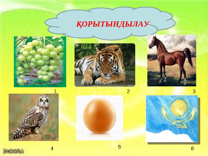 ҚОРЫТЫНДЫЛАУ 1 2 3 4 5 6