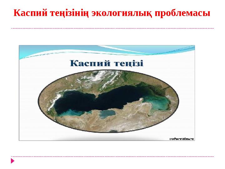 Каспий теңізінің экологиялық проблемасы