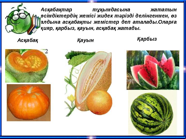 Асқабақтар тұқымдасына жататын өсімдіктердің жемісі жидек тәрізді делінгенмен, өз алдына асқабақты жемістер деп аталады.Оларға