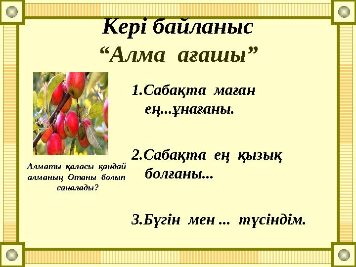 Кері байланыс “Алма ағашы” 1.Сабақта маған ең...ұнағаны. 2.Сабақта ең қызық болғаны... 3.Бүгін мен ... түсіндім. Алма