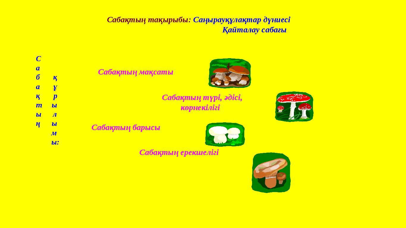 C абақтың тақырыбы: Саңырауқұлақтар дүниесі Қайталау сабағы С а